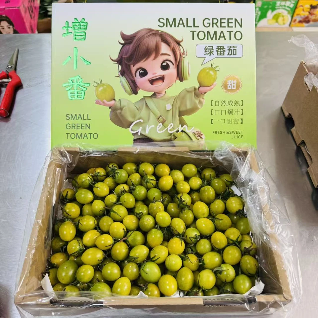 【只发天津市除县区】一番好味绿色小柿子爆汁甜一箱带箱2.2斤左右