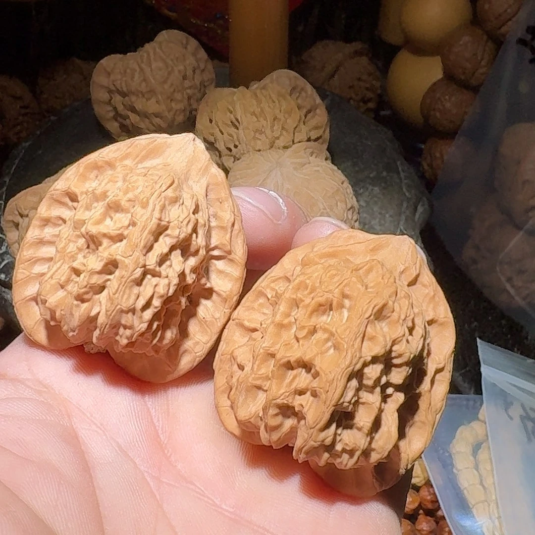 核桃39尺精秦原树水泉沟公子帽