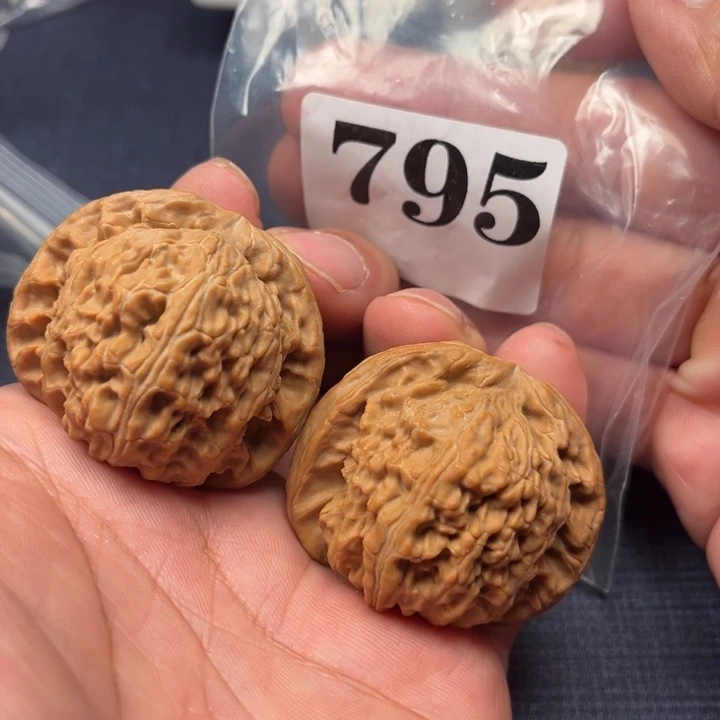 核桃43全品白狮子