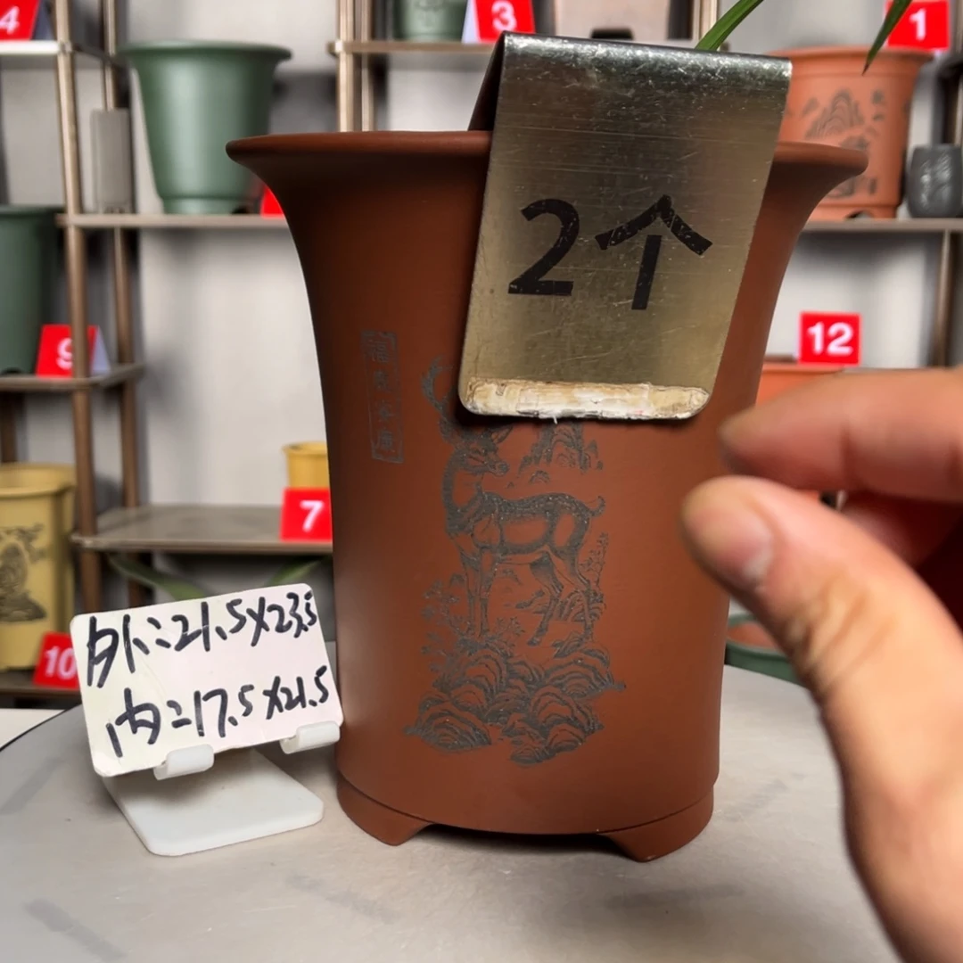 紫砂花盆紫砂花盆
