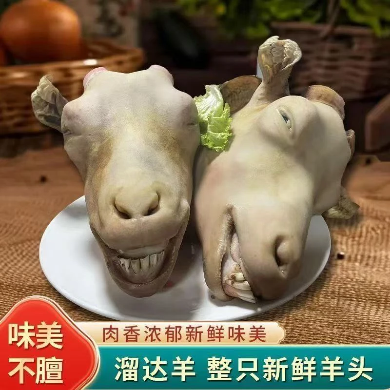 内蒙新鲜带皮整只羊头含羊舌羊脑肉质鲜嫩适合卤炖