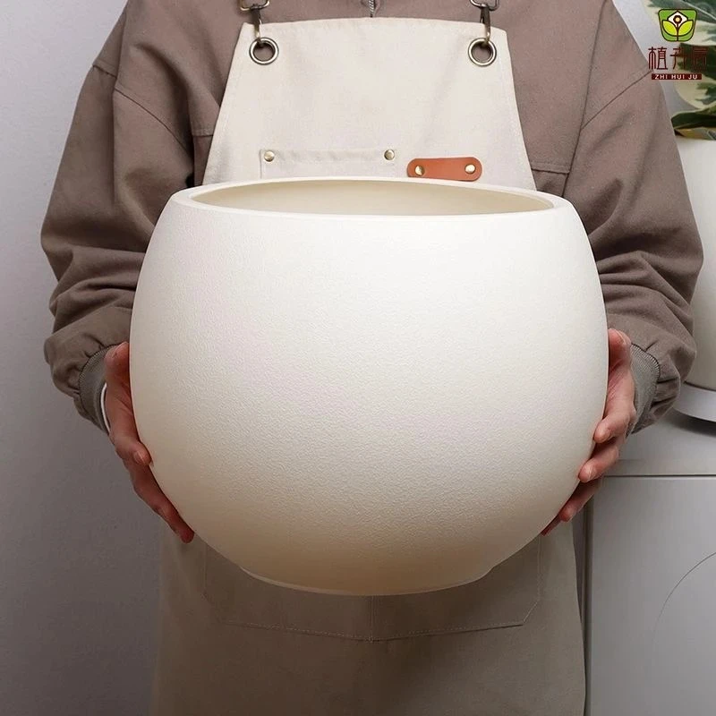 1号链接主图款圆球盆