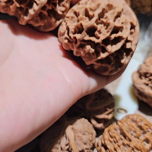 文玩核桃吊坠53帝王狮子头