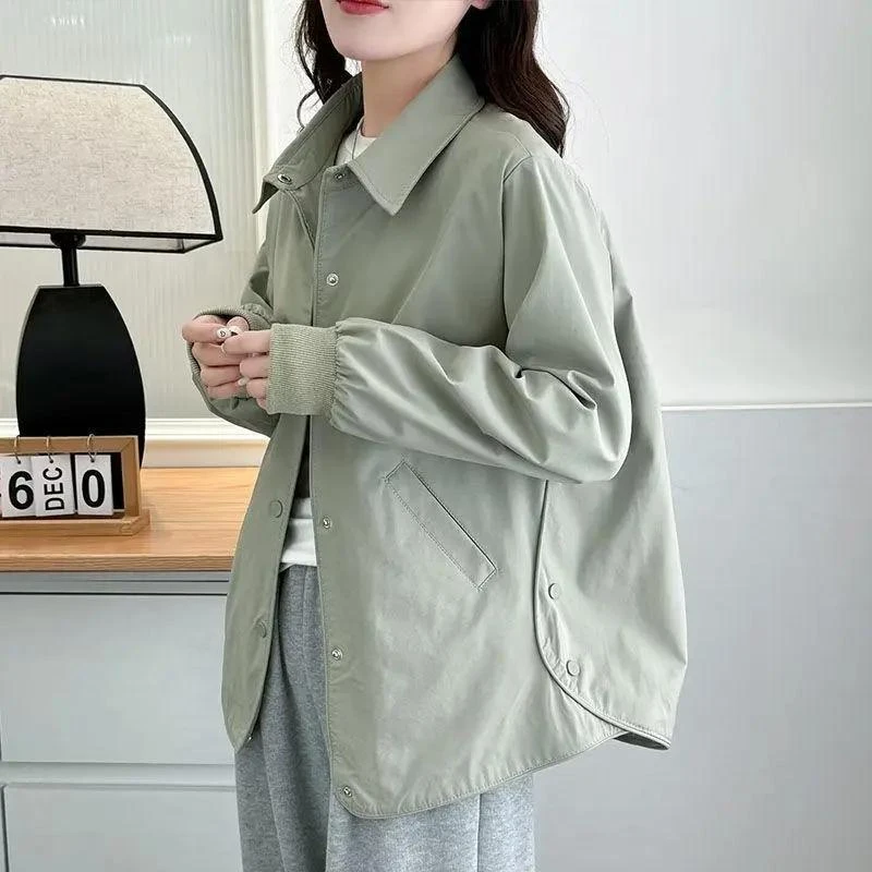 纯色百搭时尚短款衬衫外套春季新款小个子休闲百搭气质上衣女开衫