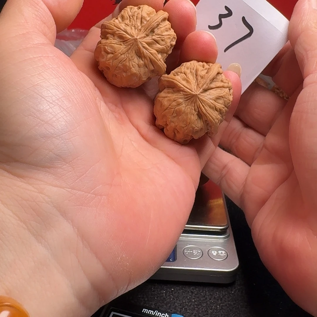 文玩核桃把件40铁莲花