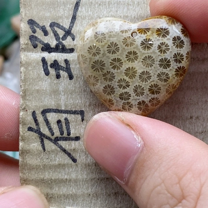 硅化珊瑚（珊瑚玉）未镶嵌颈饰翔小吊坠