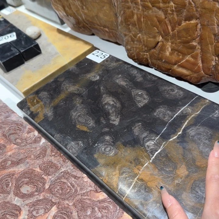 1111111111金****影1112111111