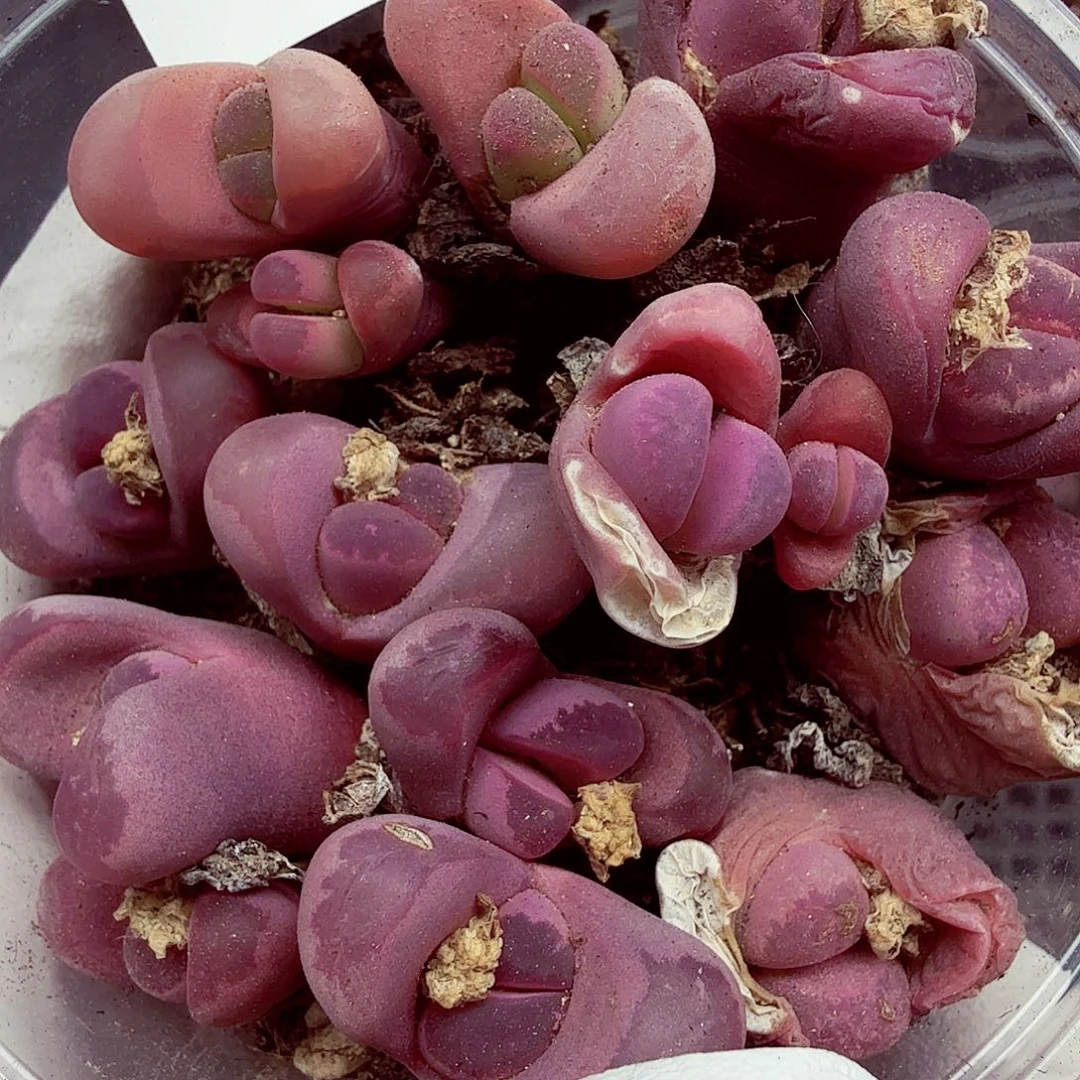 这么久没有这么晚回家睡觉129