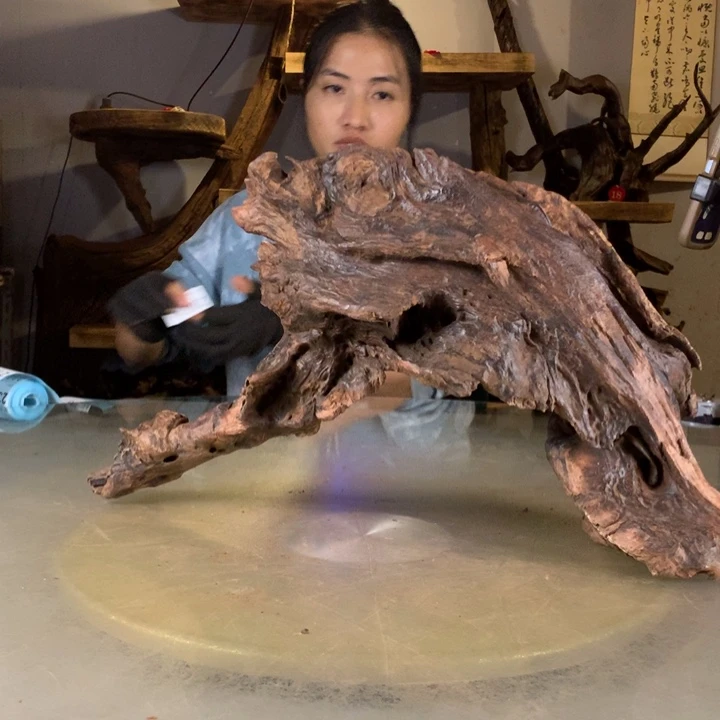 二***菜天然的云南紫柚木会黄水