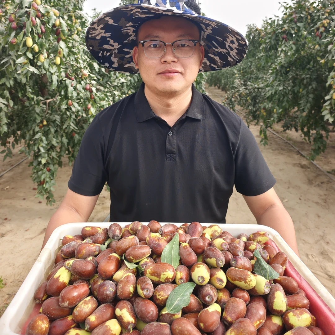 和田大枣鲜枣【蒸着吃】更好吃产地直发自然成熟鲜枣肉厚爽口