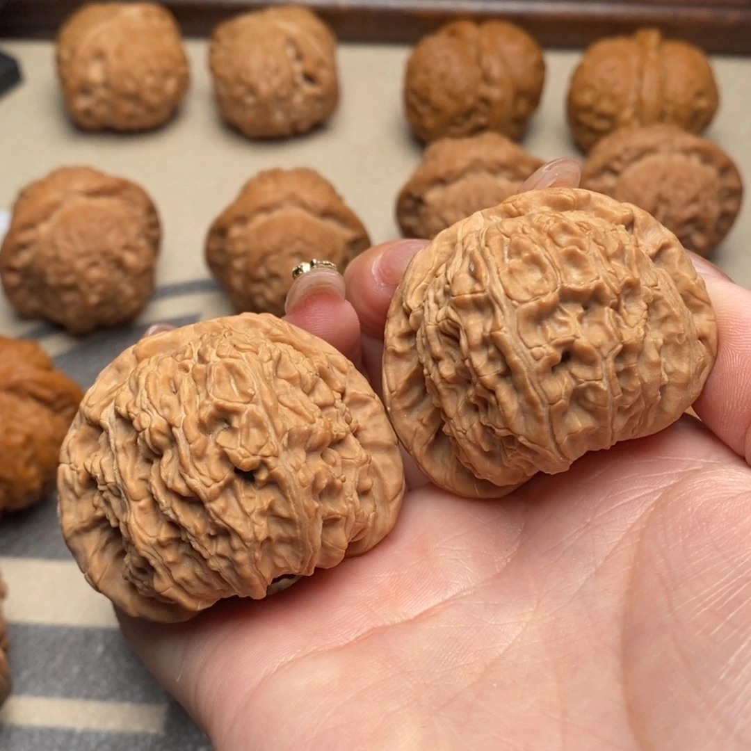 文玩核桃把件白狮子45 S18号