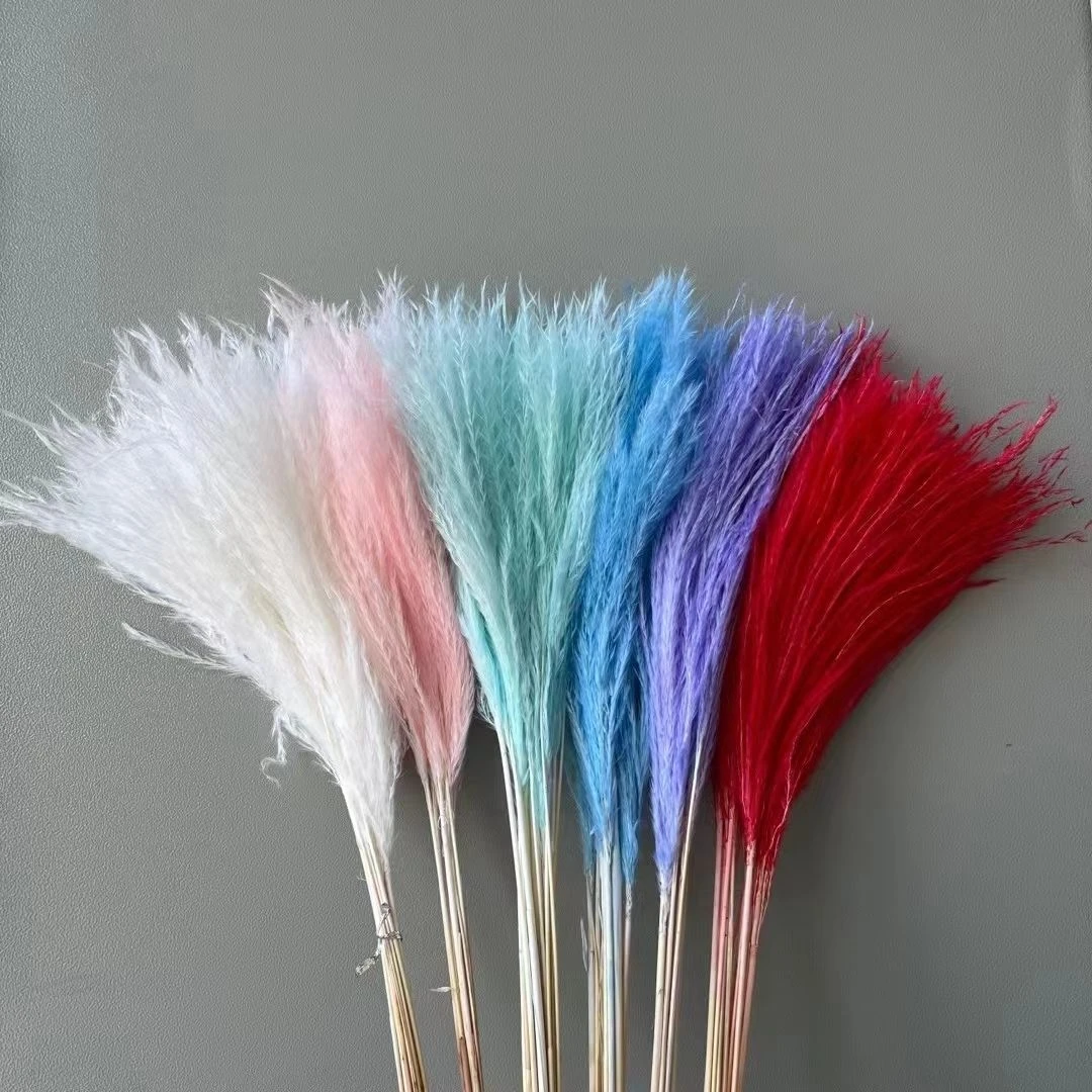 永生花软毛拂尘羽毛草干花diy花材网红居家装饰花束搭配拍摄道具