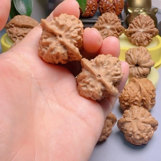 野狼全品骨质好文玩