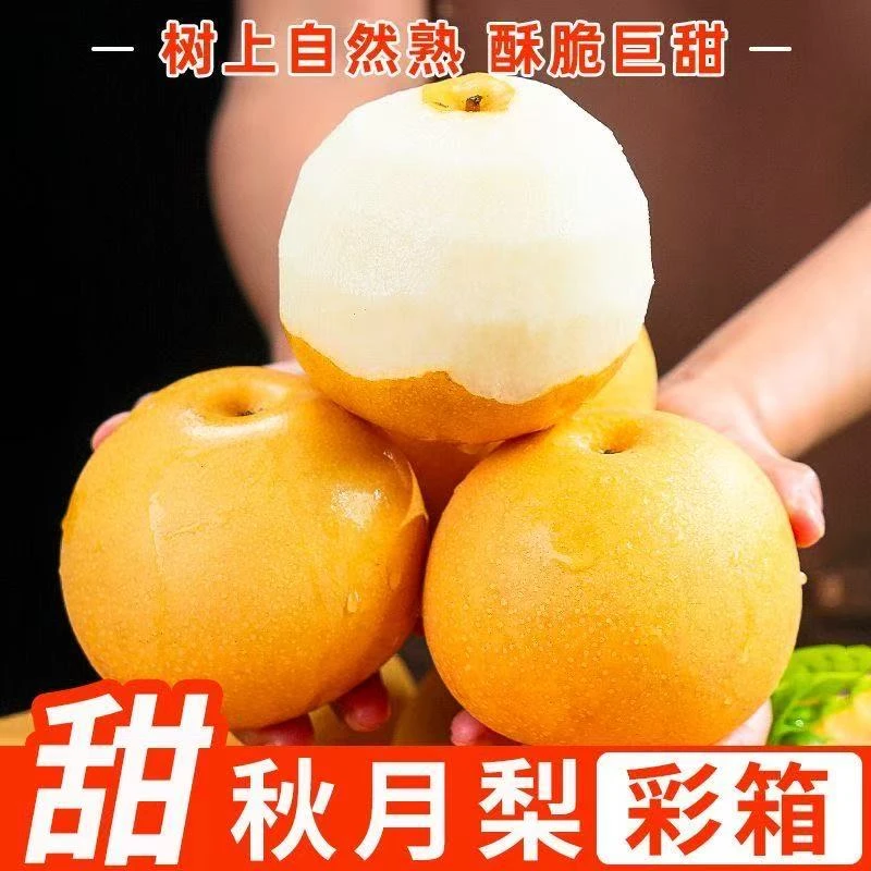 【买三斤送二斤顺丰包邮大家】正宗烟台秋月梨脆甜多汁带箱5斤