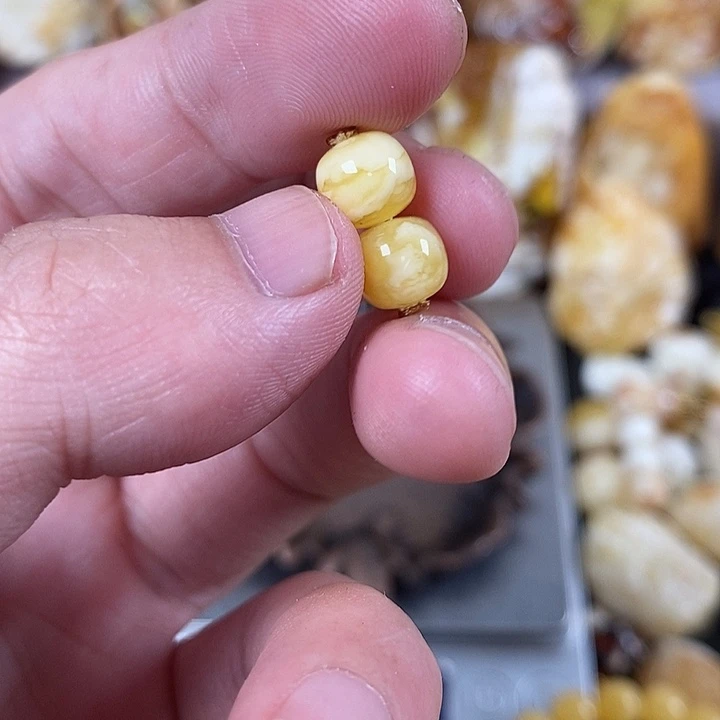 裸石琥珀未镶嵌我