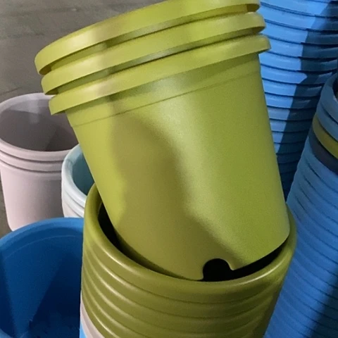 树脂微瑕4号8个带托果绿