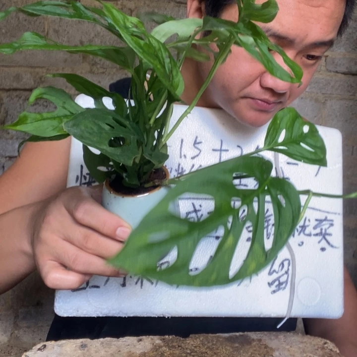 退款拉黑一物一拍81