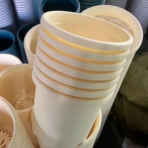 树脂四季2号6个无托米黄