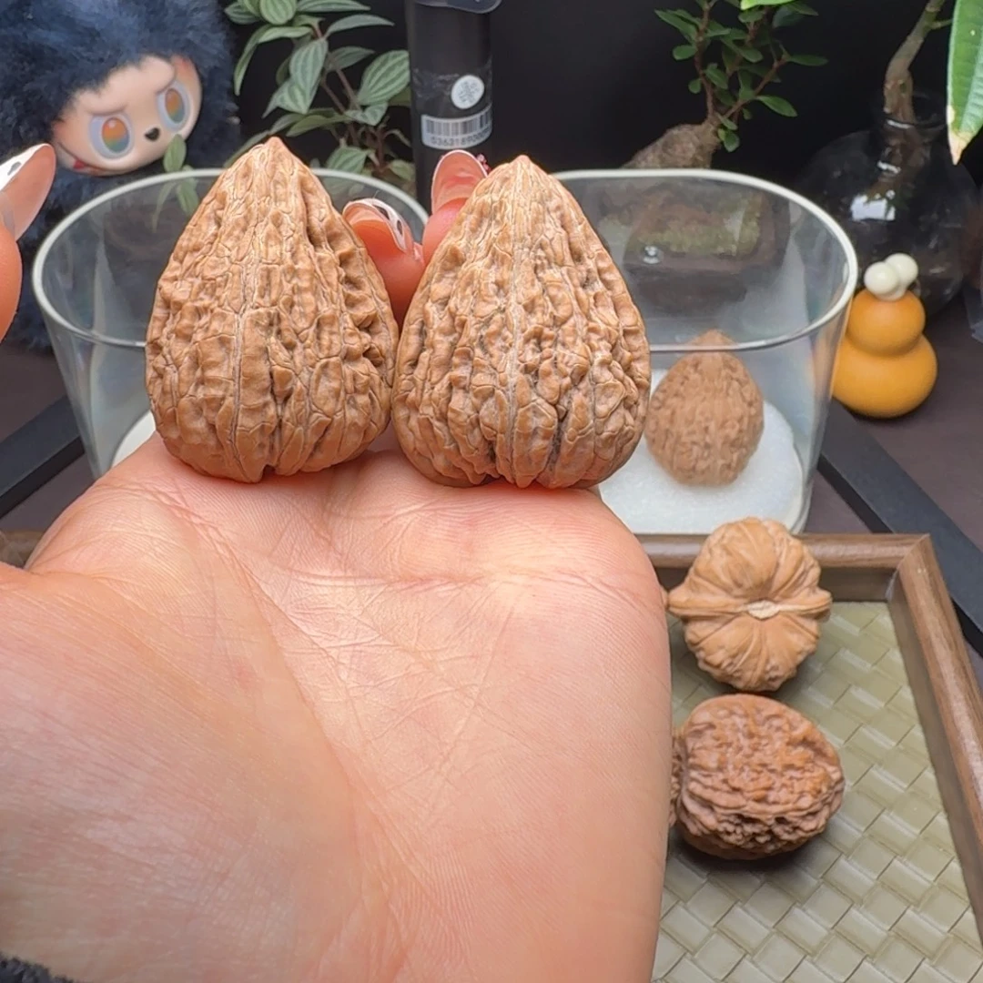 核桃全品原树坐佛34