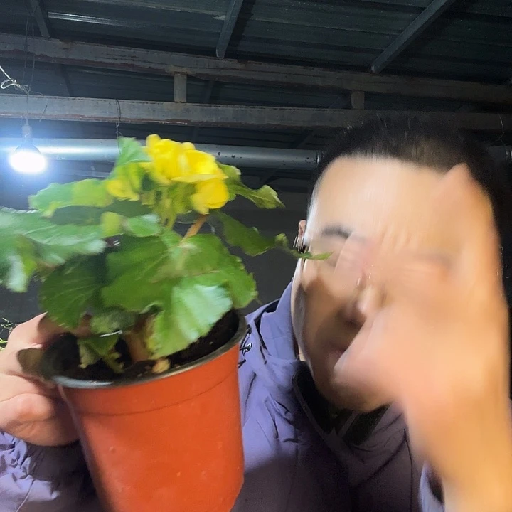 月***舞完全开放小黄色包邮