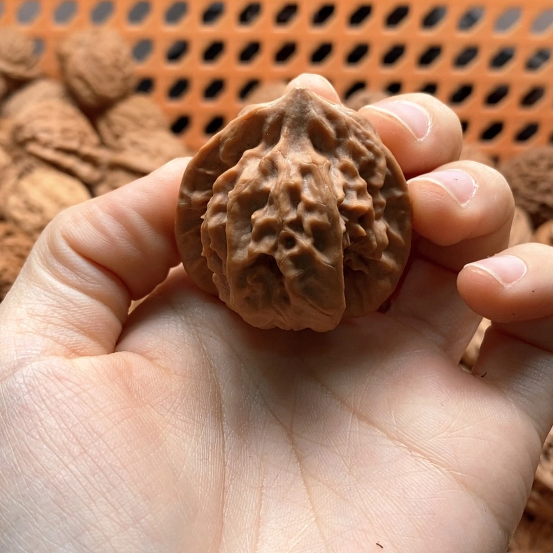 一***小核桃定制商品不退不换