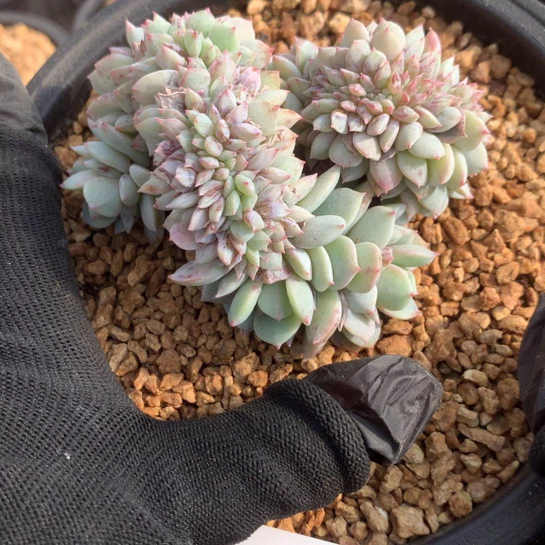 B026售后范围：签收起7天内，录开箱视频