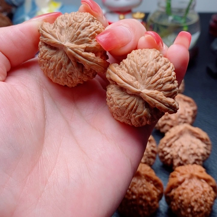 核桃山地果白狮子36