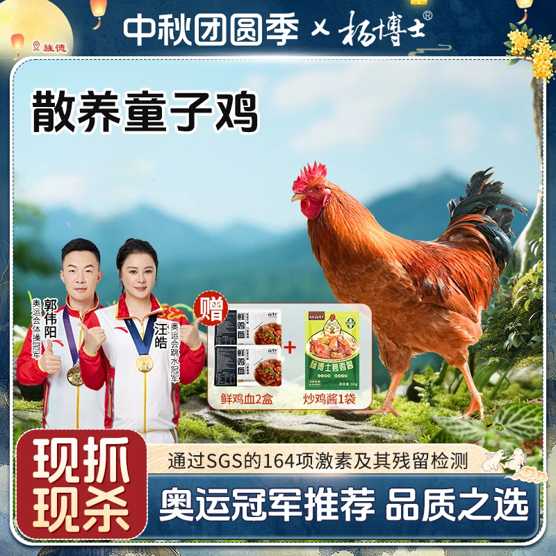【孩子爱吃童子鸡】杨博士土鸡童子鸡皖南深山散养 包冰率不含冰