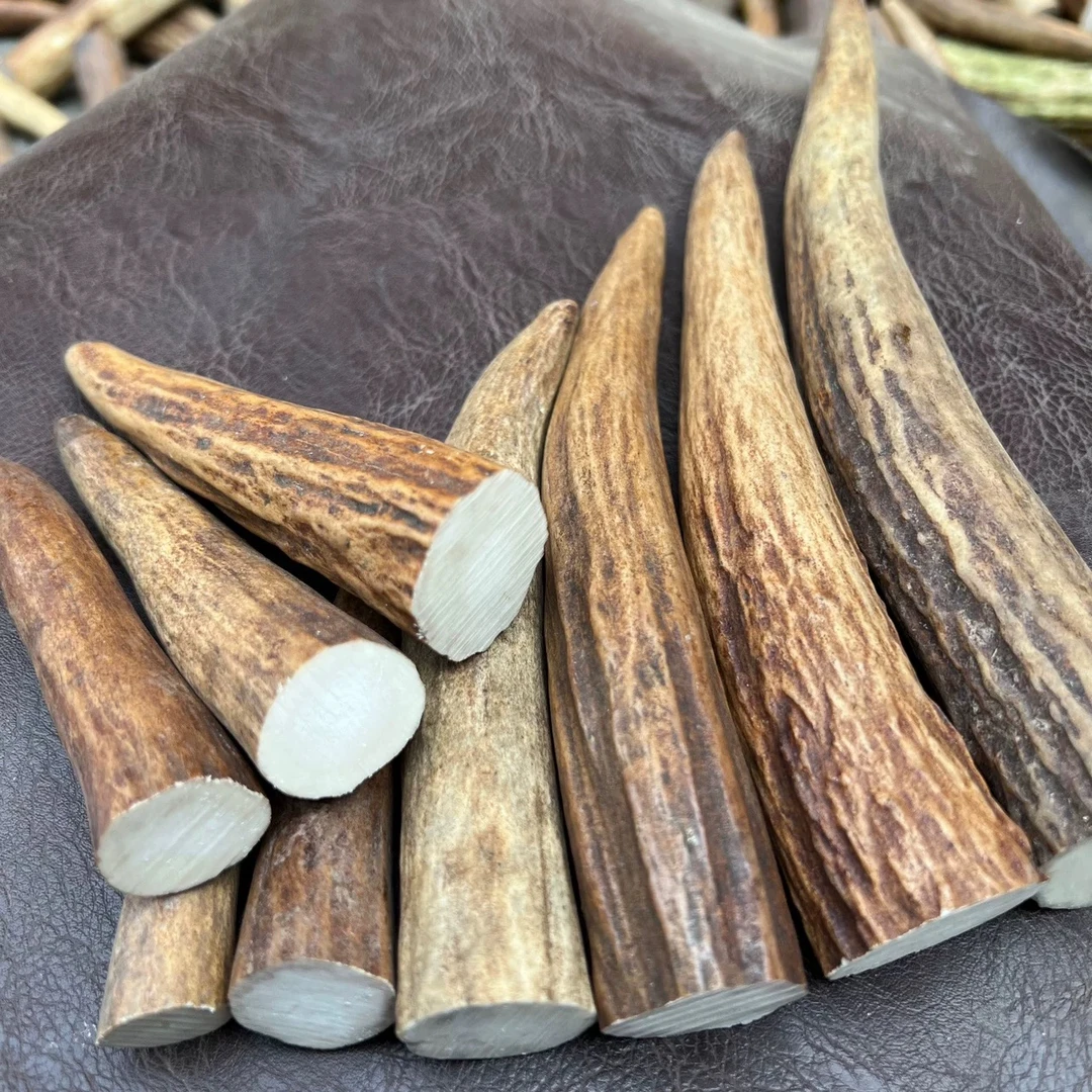 高品质天然鹿角尖高瓷白手串珠子雕刻手把件原材料