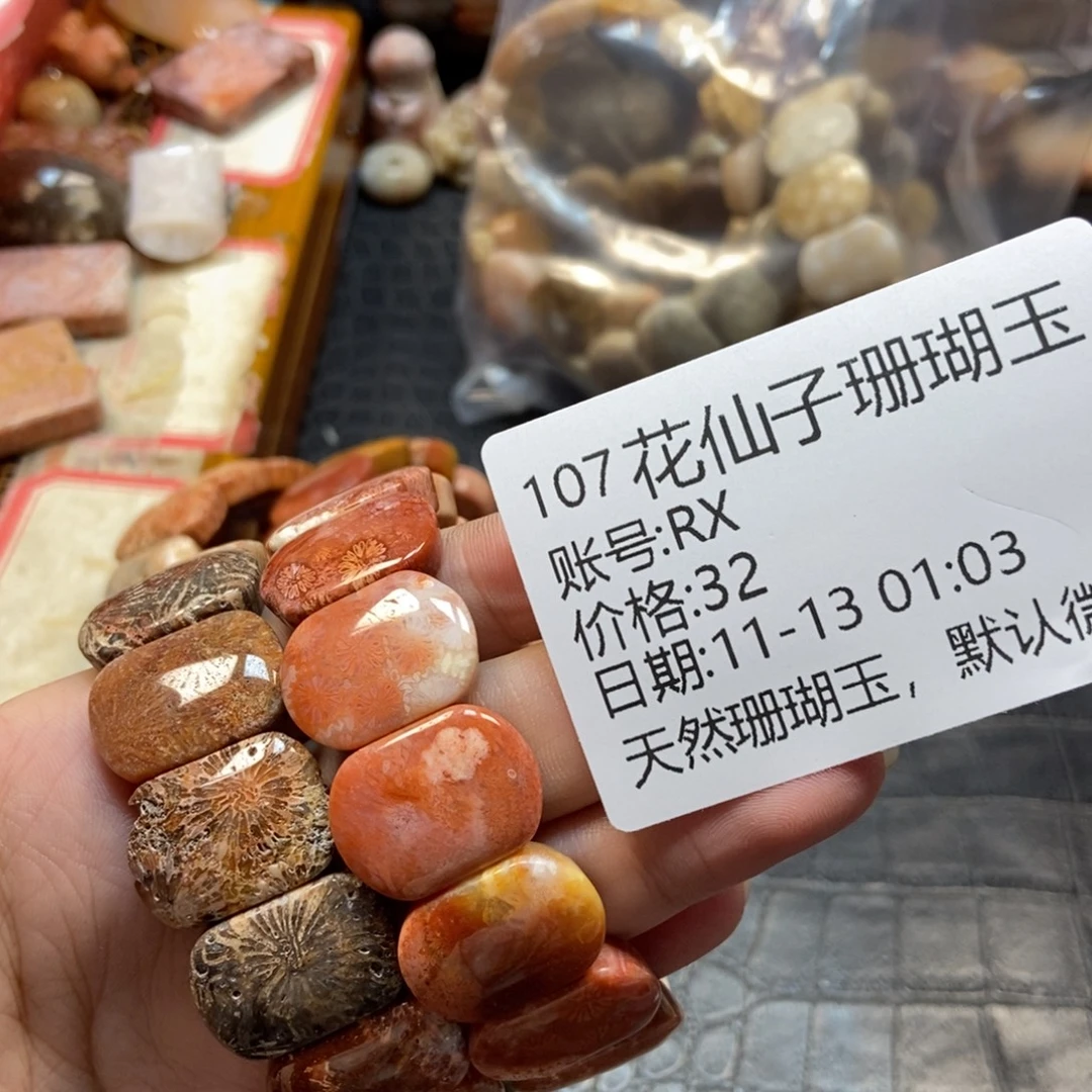 R***X硅化珊瑚（珊瑚玉）未镶嵌珠宝半成品107