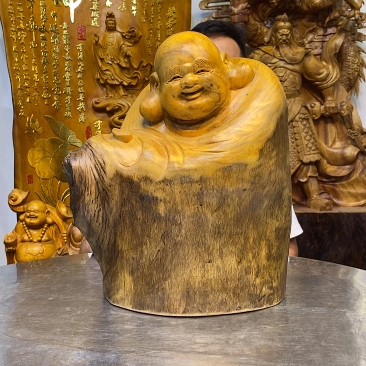 木香樟木高度40厘米