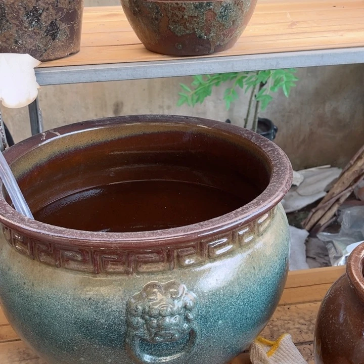 高29 口39 无孔。