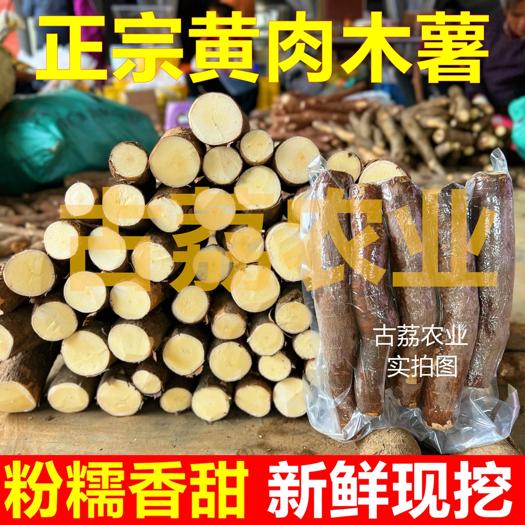 现货【现挖现发】广西新鲜黄肉木薯黄心粉软糯面包糖水店同款木薯羹