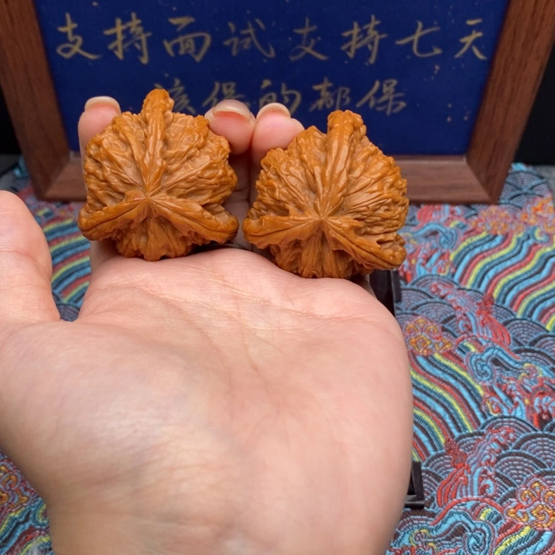 【闪购商品】俗****u白狮