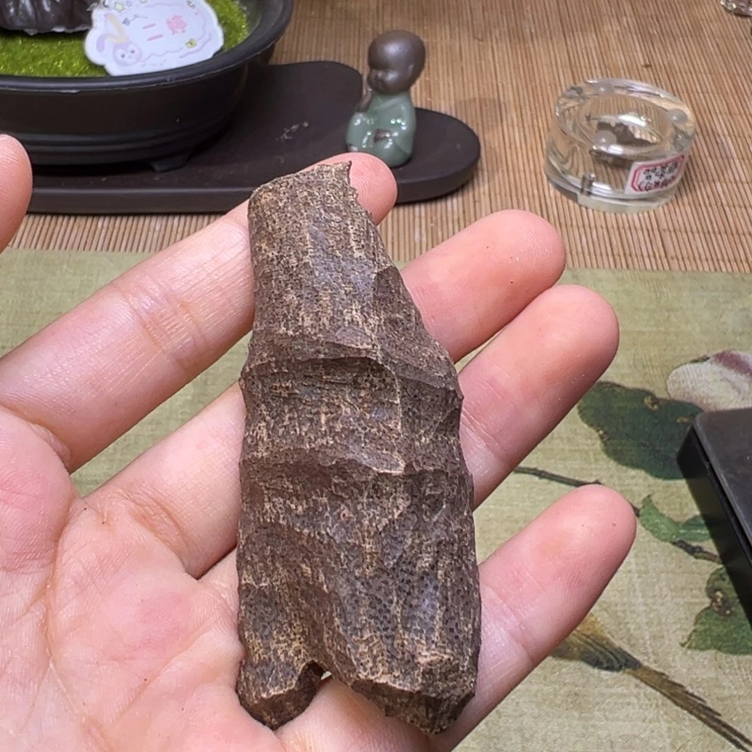 香榧木海南木料尖峰岭沉水鸡母虫漏5克