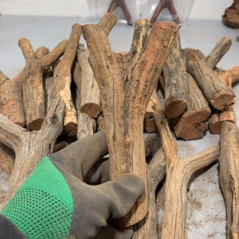 大果紫檀（缅甸花梨）蒲*英