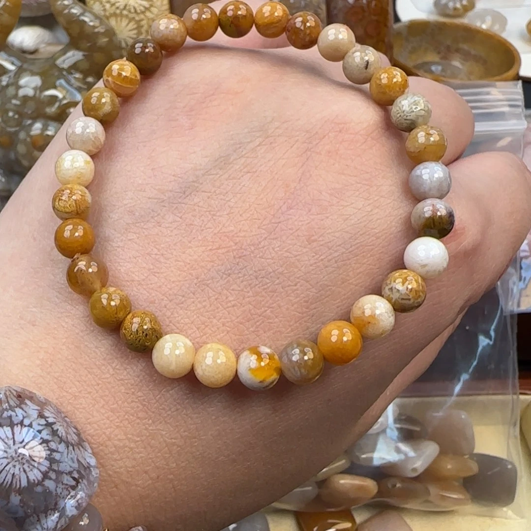 硅化珊瑚（珊瑚玉）未镶嵌颈饰