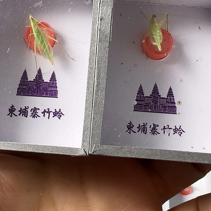 哈哈哈哈哈哈哈哈哈哈哈