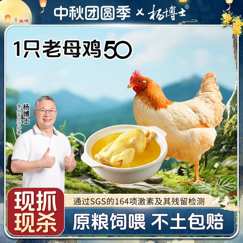 杨博士 深山散养皖南土鸡老母鸡美味新鲜满屋飘香 包冰率不含冰