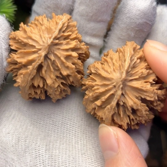 天***城文玩核桃把件秦岭核桃23