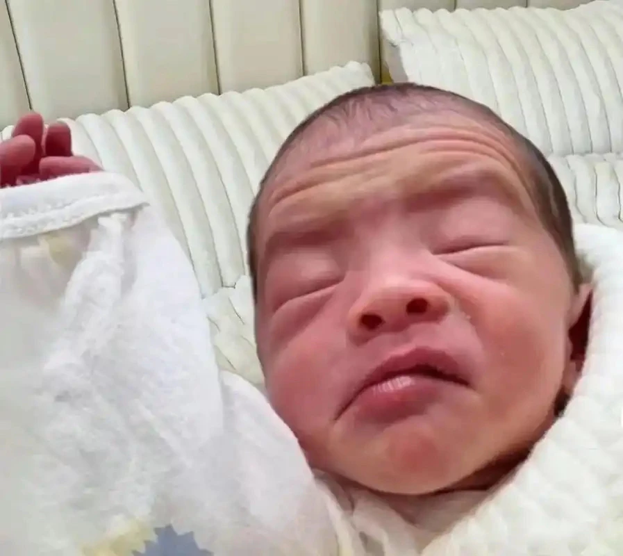 婴幼儿蒙特索利教育益智玩具