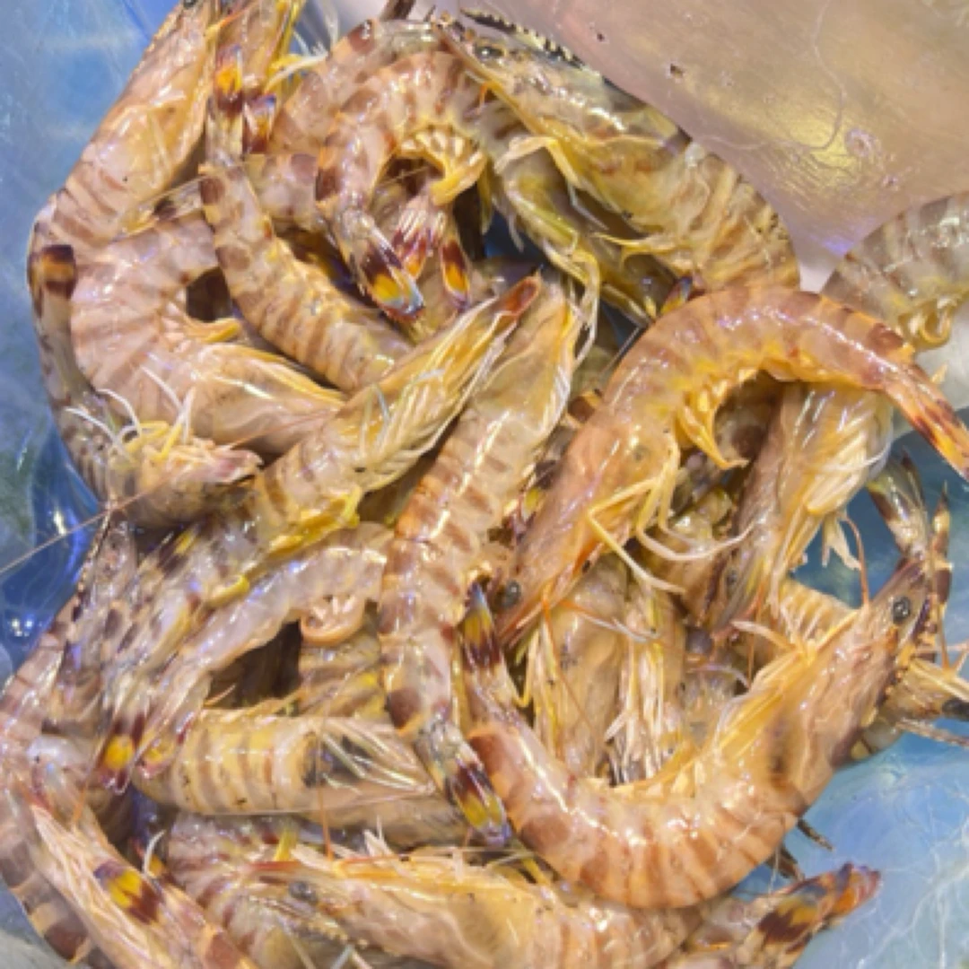 当日新鲜断氧斑节虾 直播间称重1/3/5kg