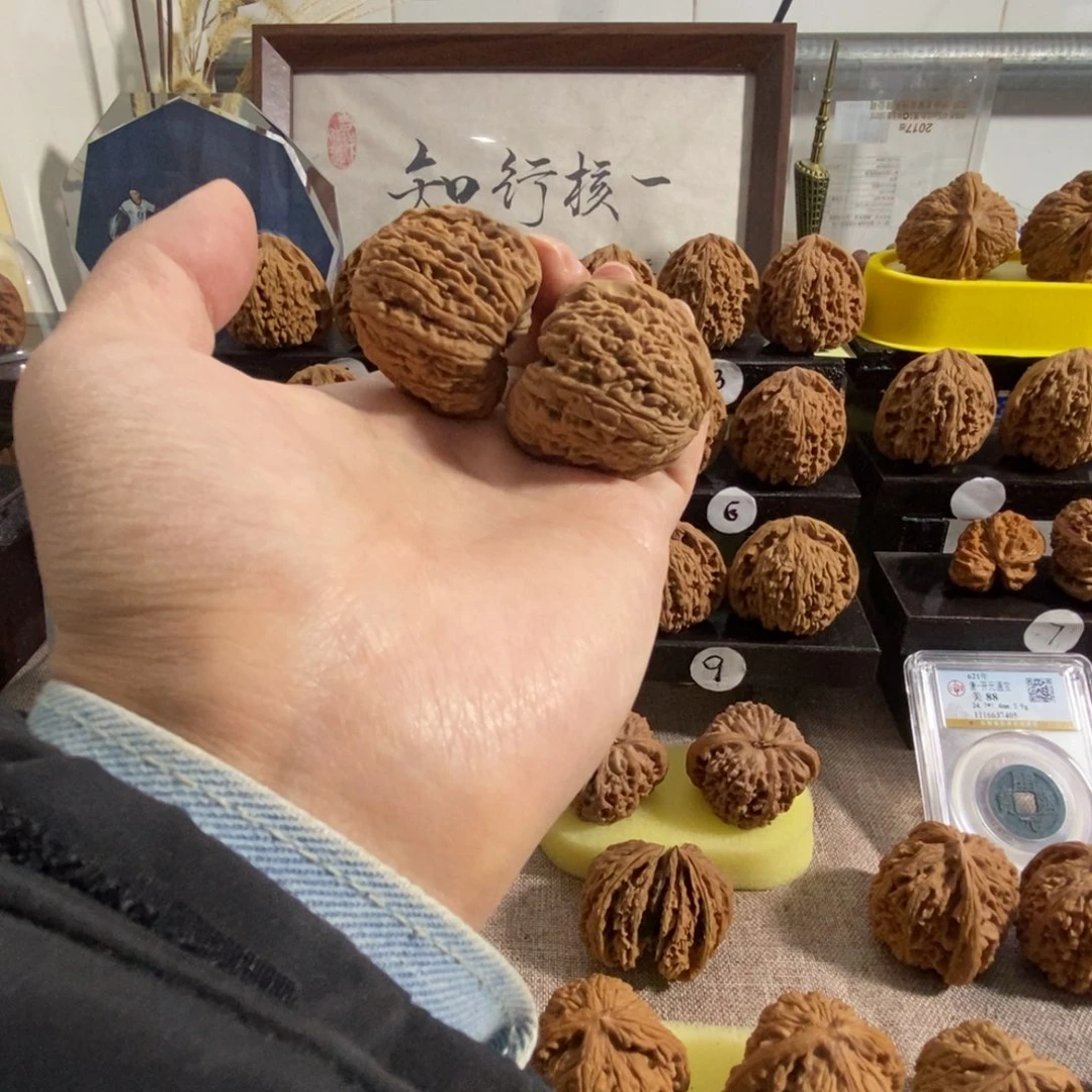 格***知木质类奥迪和篮球赛