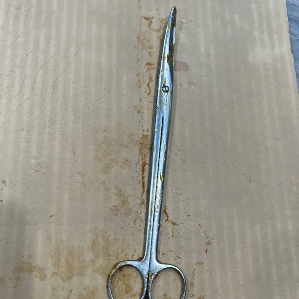 【XWK-12】长剪刀（长22厘米）