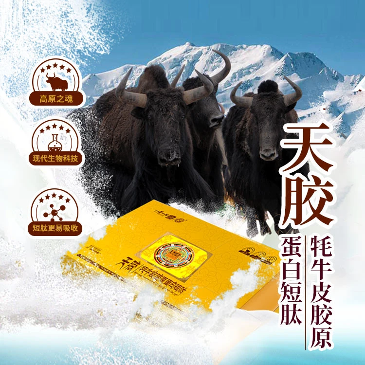天胶牦牛皮胶原蛋白固体饮料