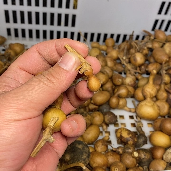 我****光精品葫芦手把葫芦93