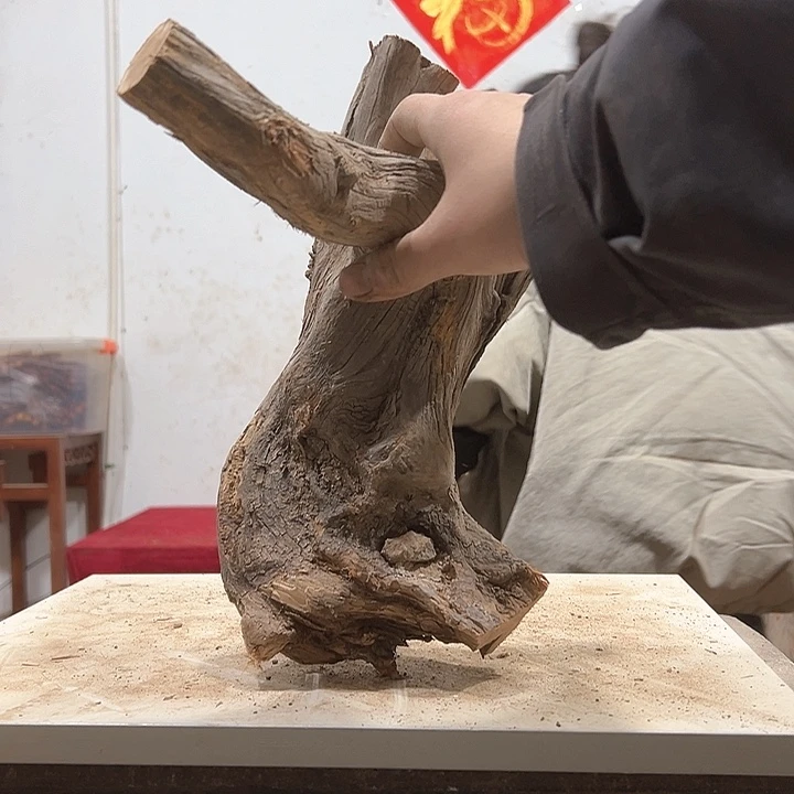 柏木J****邦我们的生活也