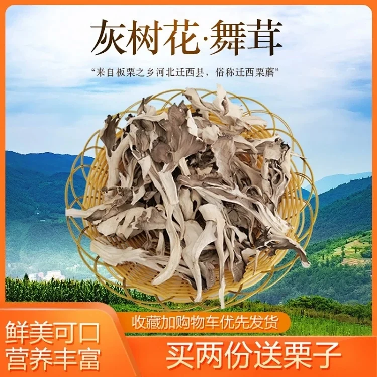 迁西栗蘑干灰树花舞茸菌唐山特产蘑菇干货煲汤食材菌菇