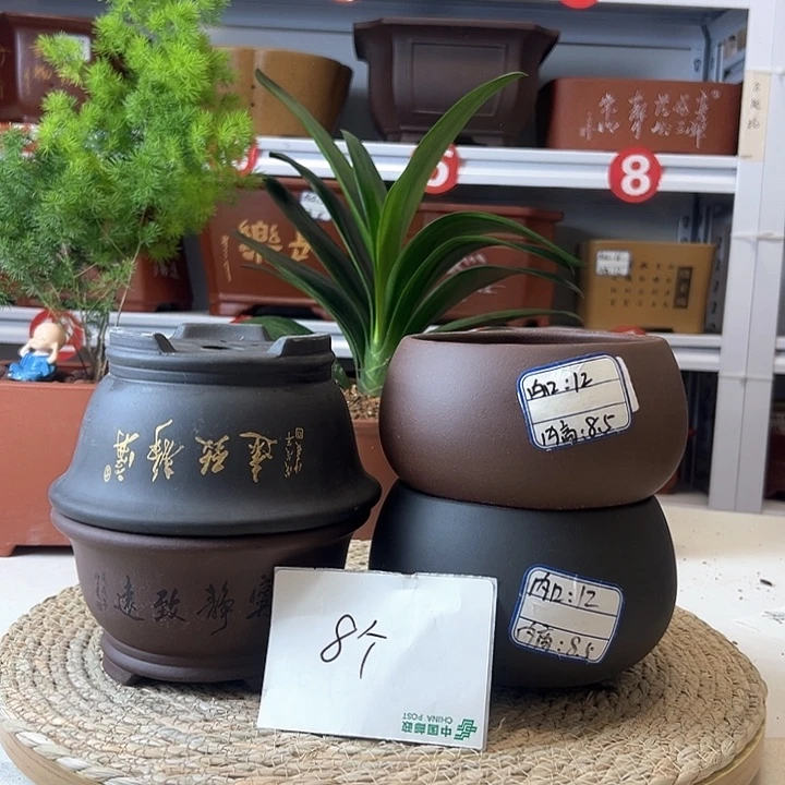 紫砂花盆蛇年大吉