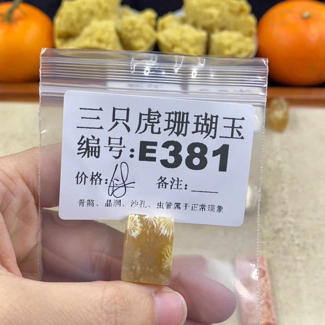 硅化珊瑚（珊瑚玉）1未镶嵌用****舞